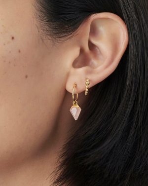 Mini Shield Hoop Earrings Charm & Drop Earrings