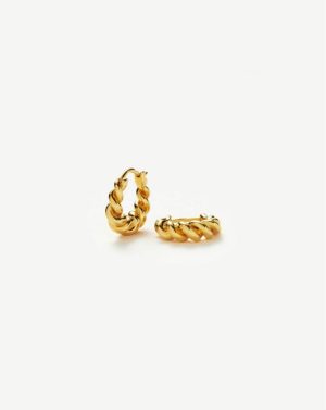 Small Tidal Hoop Earrings Earrings